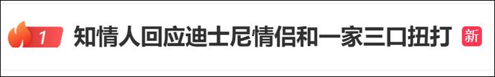 上海迪士尼游客打架,上海迪士尼游客打架视频
