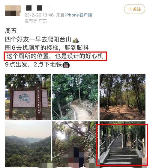 387万放地上被偷,