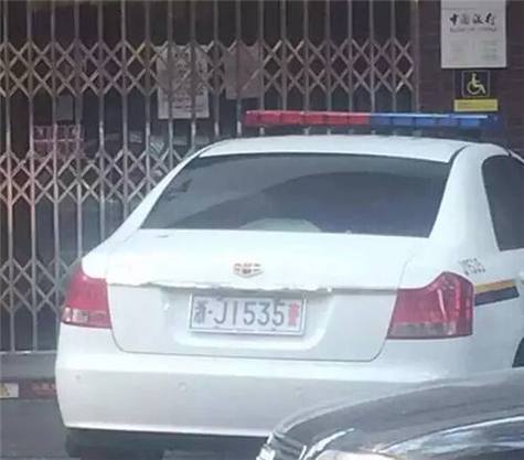 女网红违停跳上警车,女网红违停跳上警车视频